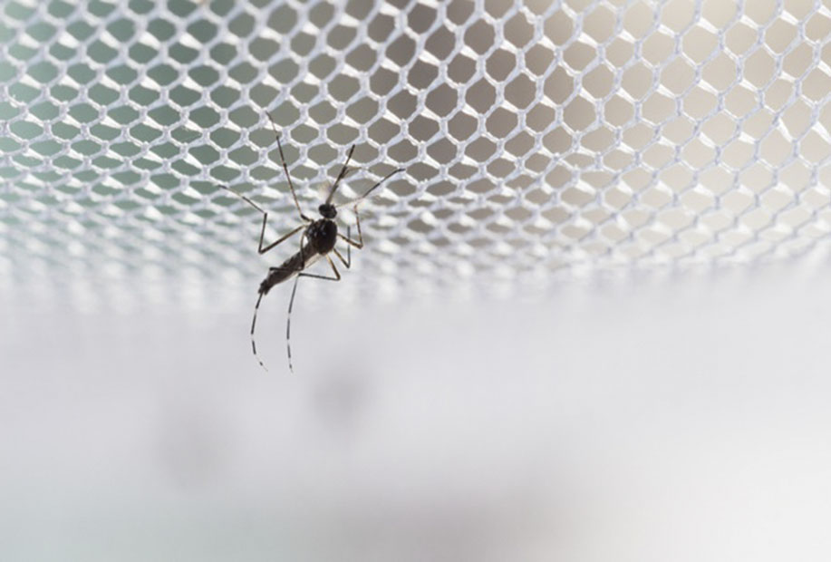 Machine &agrave; tricoter cha&icirc;ne &agrave; grande vitesse HTS2M – Con&ccedil;ue pour les tissus de support de moustiquaire, de maille, de velours et de broderie